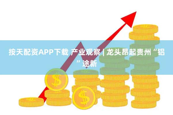 按天配资APP下载 产业观察 | 龙头昂起贵州“铝”途新