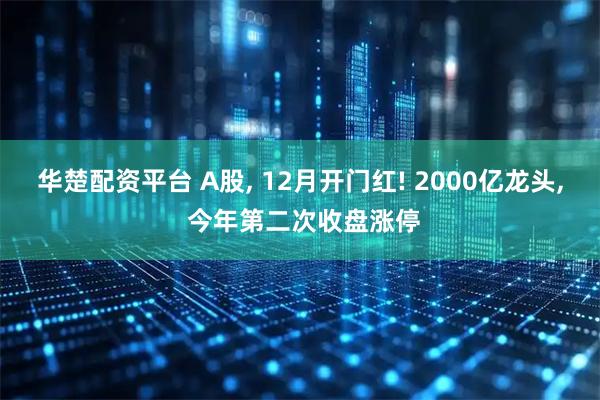 华楚配资平台 A股, 12月开门红! 2000亿龙头, 今年第二次收盘涨停