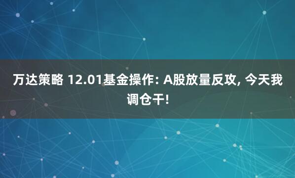 万达策略 12.01基金操作: A股放量反攻, 今天我调仓干!