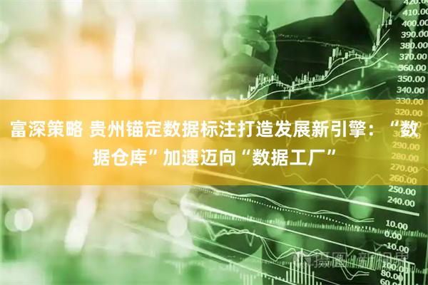 富深策略 贵州锚定数据标注打造发展新引擎：“数据仓库”加速迈向“数据工厂”